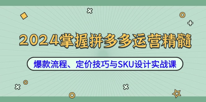 2024掌握拼多多运营精髓：爆款流程、定价技巧与SKU设计实战课-金鼎聊项目