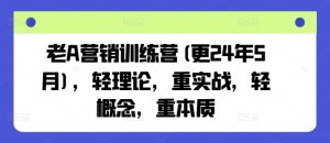 老A营销训练营(更24年9月)，轻理论，重实战，轻概念，重本质-金鼎聊项目
