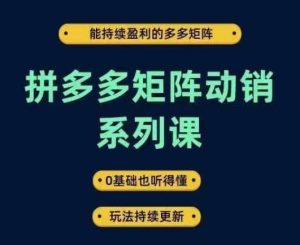 拼多多矩阵动销系列课，能持续盈利的多多矩阵，0基础也听得懂，玩法持续更新-金鼎聊项目