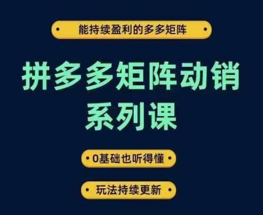 拼多多矩阵动销系列课，能持续盈利的多多矩阵，0基础也听得懂，玩法持续更新-金鼎聊项目