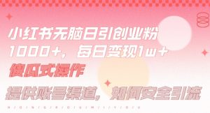 小红书无脑每日引流创业粉500+，小白每天只花半小时，躺赚长尾收益【揭秘】-金鼎聊项目
