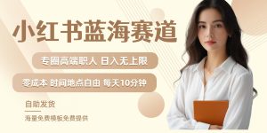 小红书蓝海赛道，圈中高端职场人，月入无上限，可矩阵，内含私域实操教程!-金鼎聊项目
