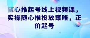 随心推起号线上视频课，实操随心推投放策略，正价起号-金鼎聊项目