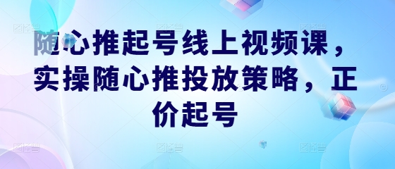 随心推起号线上视频课，实操随心推投放策略，正价起号-金鼎聊项目