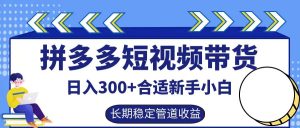 拼多多短视频带货日入300+，实操账户展示看就能学会-金鼎聊项目
