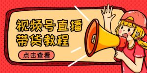 视频号直播带货教程:选品思路与话术拆解/掌握多种带货套路/提升直播效果-金鼎聊项目