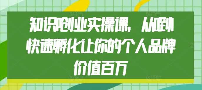 知识IP创业实操课，从0到1快速孵化让你的个人品牌价值百万-金鼎聊项目