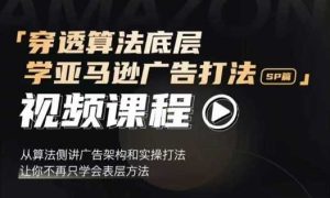 穿透算法底层，学亚马逊广告打法SP篇，从算法侧讲广告架构和实操打法，让你不再只学会表层方法-金鼎聊项目