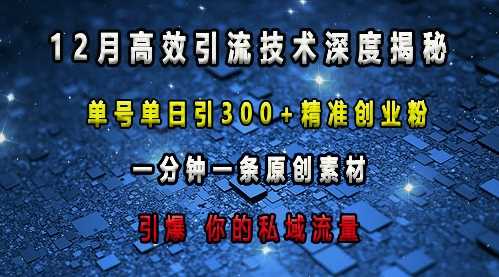 最新高效引流技术深度揭秘 ，单号单日引300+精准创业粉，一分钟一条原创素材，引爆你的私域流量-金鼎聊项目