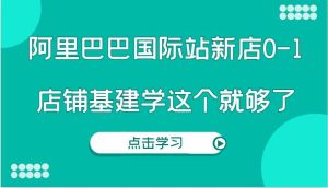 阿里巴巴国际站新店0-1，个人实践实操录制从0-1基建，店铺基建学这个就够了-金鼎聊项目