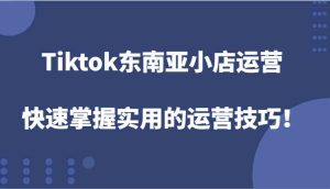 Tiktok东南亚小店运营,快速掌握实用的运营技巧!-金鼎聊项目