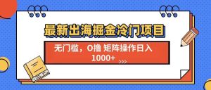 （13672期）最新出海掘金冷门项目，单号日入1000+-金鼎聊项目