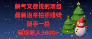 （13686期）解气又赚钱的项目，最新违章拍照赚钱，随手一拍，轻松收入3000+-金鼎聊项目