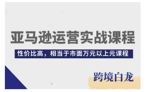 亚马逊运营实战课程，亚马逊从入门到精通，性价比高，相当于市面万元以上元课程-金鼎聊项目