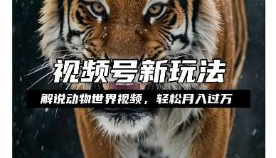 利用动物世界解说视频，赚分成计划收益，轻松月入过W，操作简单【揭秘】-金鼎聊项目