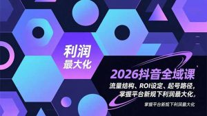 2026抖音全域课，流量结构、ROI设定、起号路径，掌握平台新规下利润最大化-金鼎聊项目
