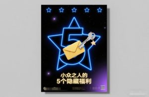 付费文章：小众之人的5个隐藏福利-金鼎聊项目