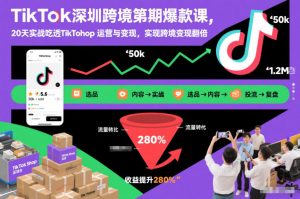 TikTok深圳跨境第2期爆款课,20天实战吃透TikTok Shop运营与变现,实现跨境变现翻倍-金鼎聊项目