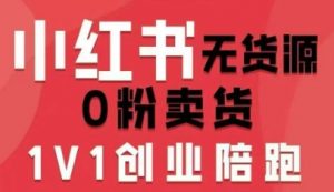 小红书无货源0粉电商课,开店准备、选品策略、笔记撰写、视频剪辑、数据分析、账号打造、资料文档(更新)-金鼎聊项目
