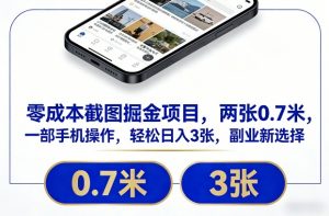 零成本截图掘金项目，两张0.7米，一部手机操作，轻松日入3张，副业新选择【揭秘】-金鼎聊项目