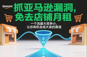 抓亚马逊漏洞,免去店铺月租,一个流量大竞争小,让你有机会成大卖的赛道-金鼎聊项目