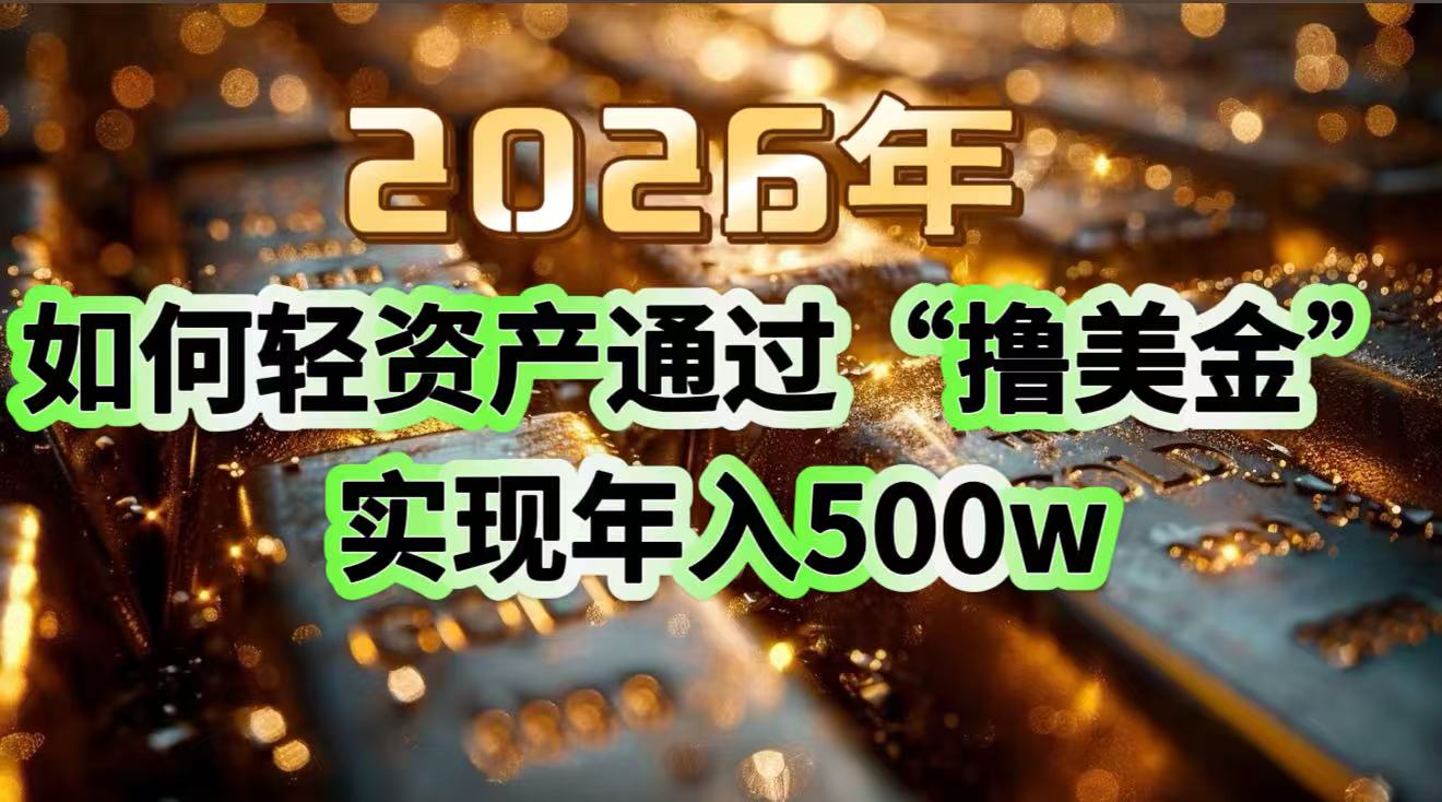 2026年如何轻资产通过“撸美金”实现年入500w-金鼎聊项目