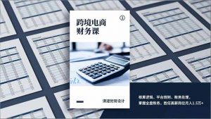 跨境电商财务课，核算逻辑、平台规则、账务处理，掌握全盘账务，胜任高薪岗位月入1.5万+-金鼎聊项目