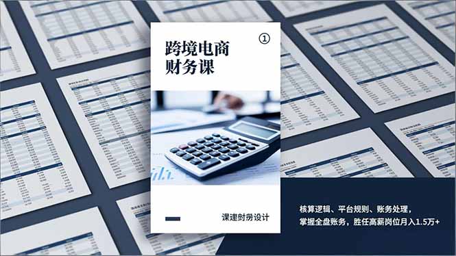 跨境电商财务课，核算逻辑、平台规则、账务处理，掌握全盘账务，胜任高薪岗位月入1.5万+-金鼎聊项目