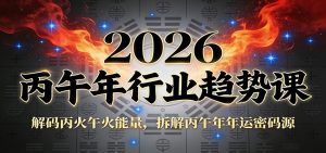 公众号付费文章：2026丙午年行业趋势课：解码丙火午火能量，拆解丙午年年运密码源-金鼎聊项目