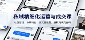 私域精细化运营与成交课:社群管理、私聊转化、朋友圈运营,解锁高成交密码-金鼎聊项目