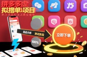 拼多多虚拟撸单项目,跳过选品和测试直接撸单-金鼎聊项目