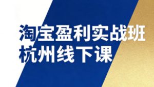 淘宝盈利实战班杭州线下课12月26-28日(音频+字幕)，帮你掌握SOP流程+12门核心技术-金鼎聊项目