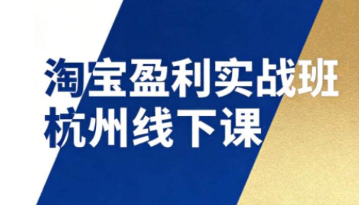 淘宝盈利实战班杭州线下课12月26-28日(音频+字幕)，帮你掌握SOP流程+12门核心技术-金鼎聊项目