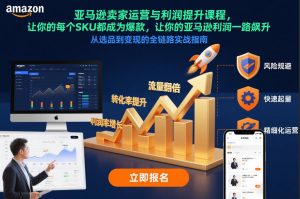 亚马逊卖家运营与利润提升课程，让你的每个SKU都成为爆款，让你的亚马逊利润一路飙升(更新12月)-金鼎聊项目