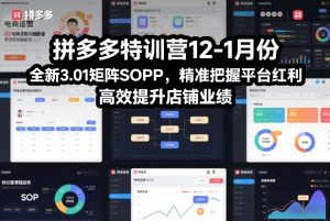 拼多多特训营12-1月份，全新3.01矩阵Sop，精准把握平台红利，高效提升店铺业绩-金鼎聊项目