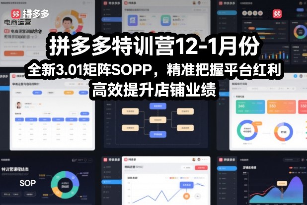 拼多多特训营12-1月份，全新3.01矩阵Sop，精准把握平台红利，高效提升店铺业绩-金鼎聊项目