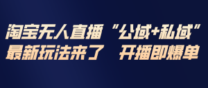 淘宝无人直播最新玩法，包含私域和公域两种玩法-金鼎聊项目