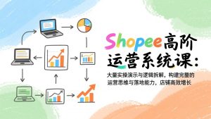 Shopee高阶运营系统课：大量实操演示与逻辑拆解，构建完整的运营思维与落地能力，店铺高效增长-金鼎聊项目