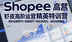 Shopee虾皮高阶运营精英特训营,高阶运营技巧+流量提升+转化率优化,助你业绩翻倍-金鼎聊项目