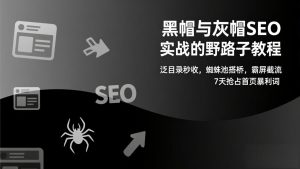 黑帽与灰帽SEO实战的野路子教程:泛目录秒收,蜘蛛池搭桥,霸屏截流,7天抢占首页暴利词-金鼎聊项目