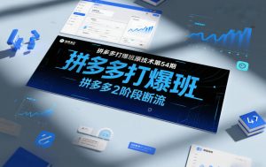 拼多多打爆班原创技术第54期，拼多多2阶段断流-金鼎聊项目