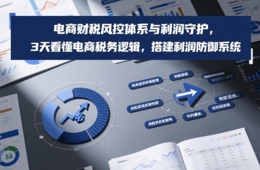 电商财税风控体系与利润守护，3天看懂电商税务逻辑，搭建利润防御系统-金鼎聊项目