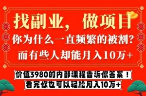 价值3980的网创内部课程，告诉你互联网创业月入10个W的秘密【揭秘】-金鼎聊项目