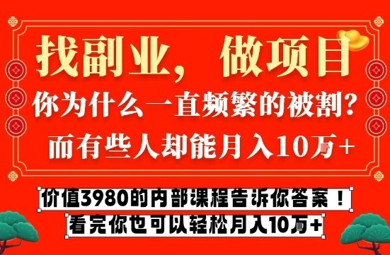 价值3980的网创内部课程，告诉你互联网创业月入10个W的秘密【揭秘】-金鼎聊项目