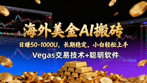 【海外美金AI搬砖】Vegas交易技术+聪明软件,日赚50-1000U,长期稳定,小白轻松上手。-金鼎聊项目
