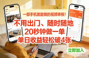 一部手机就能做的视频审核！不用出门，随时随地，20秒钟做一单，单日收益轻松破4张【揭秘】-金鼎聊项目