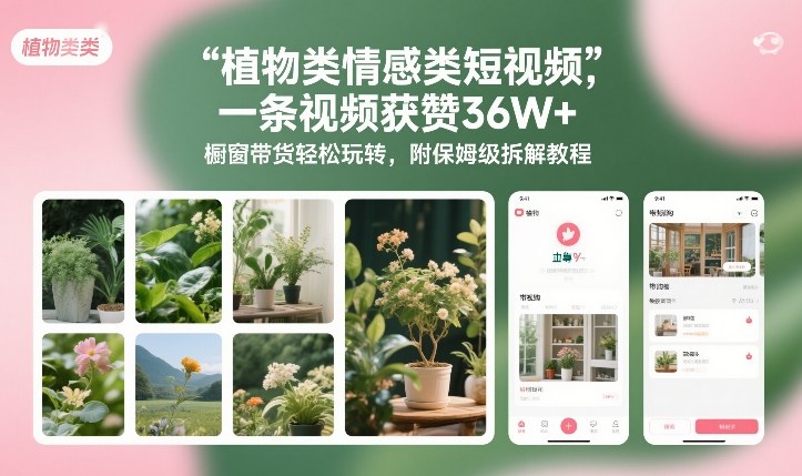 植物类情感类短视频，一条视频获赞36W+，橱窗带货轻松玩转，附保姆级拆解教程-金鼎聊项目