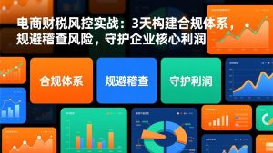 电商财税风控实战：3天构建合规体系，规避稽查风险，守护企业核心利润-金鼎聊项目