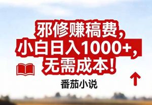 番茄小说赚稿费邪修玩法无需成本，真实日入1000+，超级简单！-金鼎聊项目