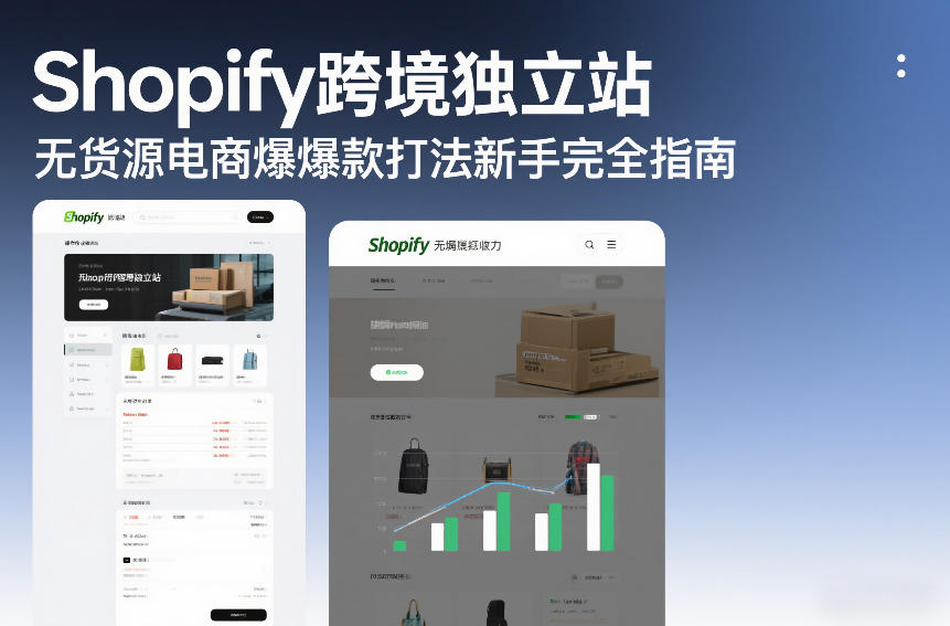 Shopify跨境独立站无货源电商爆款打法新手完全指南-金鼎聊项目
